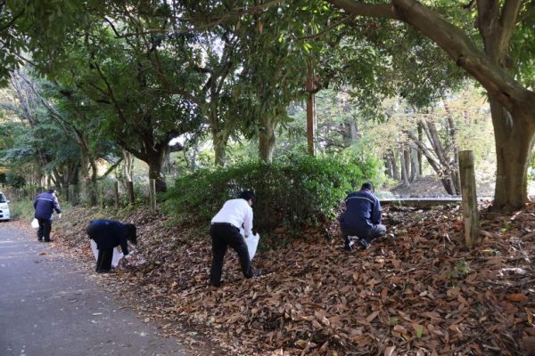 どんぐり拾いの準備