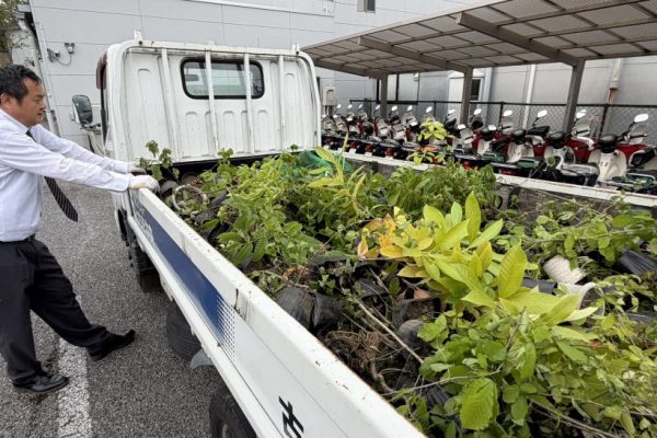 春の植樹デーに苗木400本を寄贈